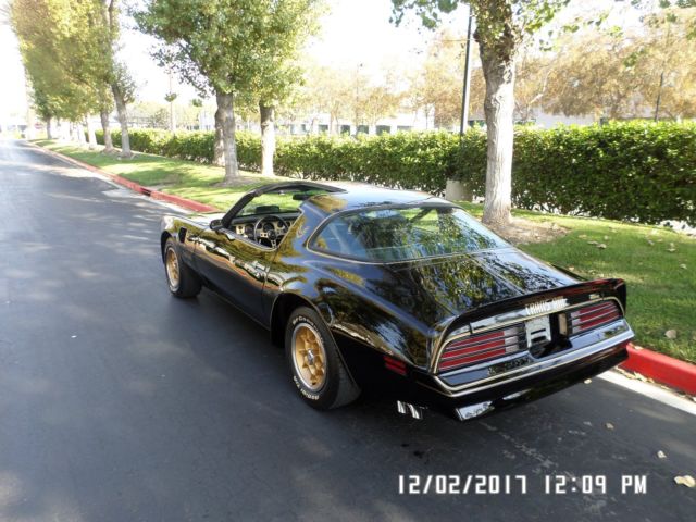 1976 Pontiac Trans Am 50Th Anniversary - photo 2