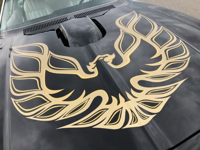 1976 Pontiac Trans Am -- - photo 6