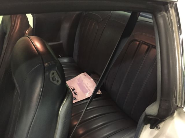 1976 Pontiac Trans Am 2Dr sedan - photo 13