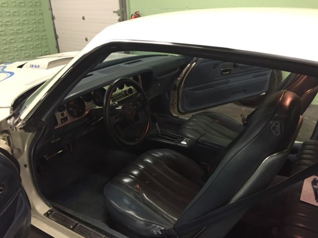 1976 Pontiac Trans Am 2Dr sedan - photo 9