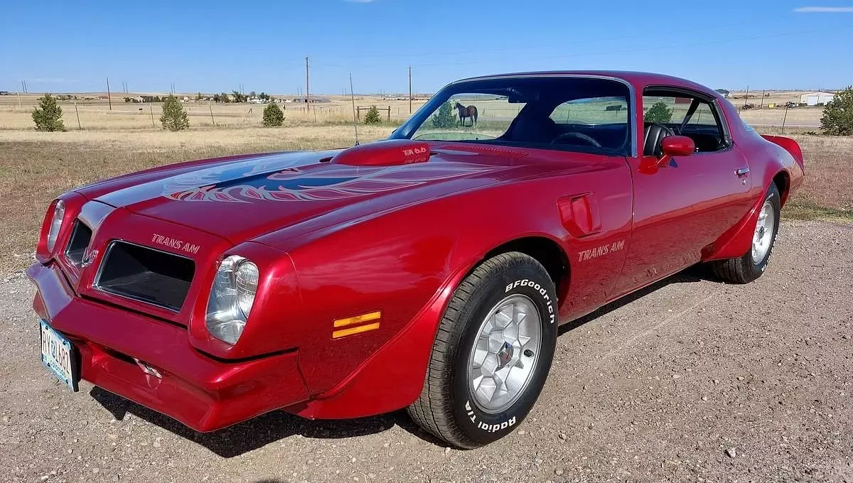 1976 Pontiac Trans Am Amazing Condition!