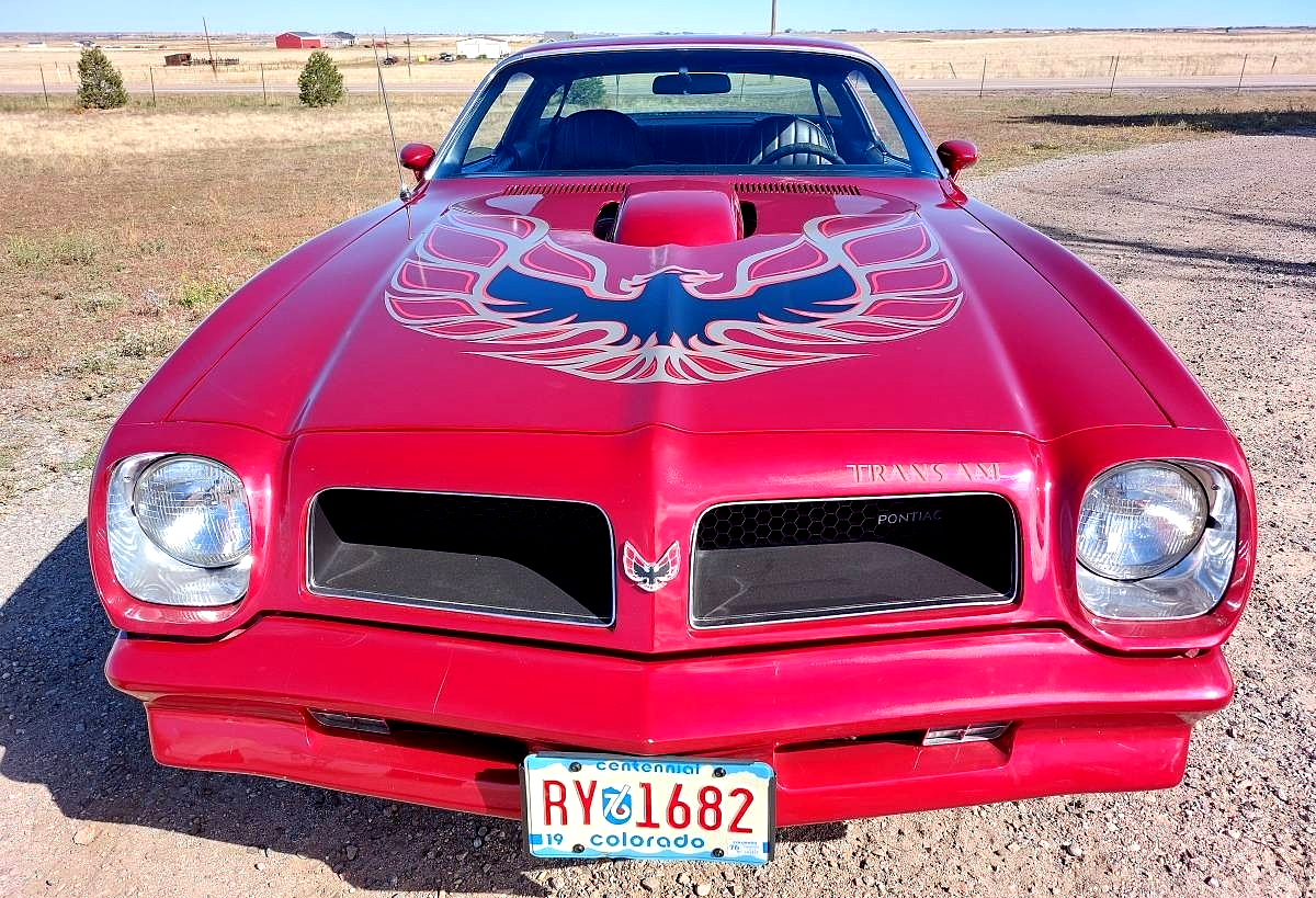 1976 Pontiac Trans Am Amazing Condition! - photo 3