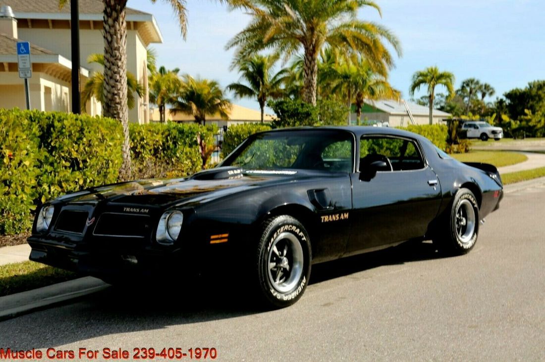 1976 Pontiac Trans Am Trans Am - photo 11