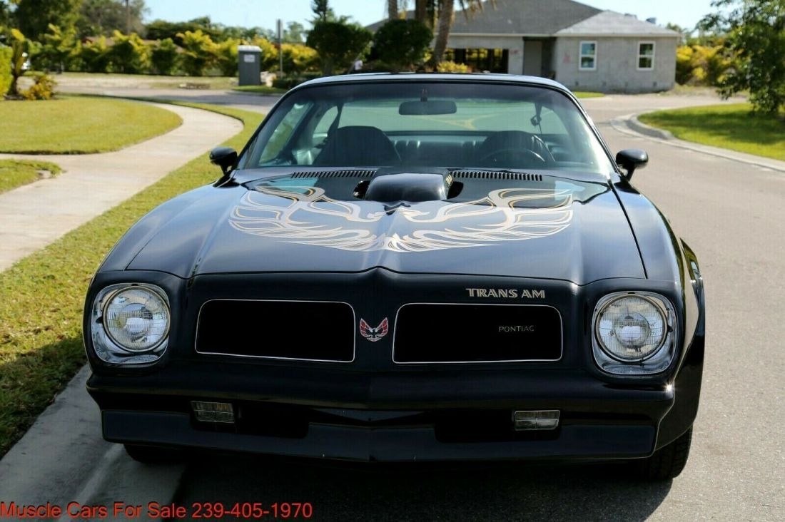 1976 Pontiac Trans Am Trans Am - photo 12