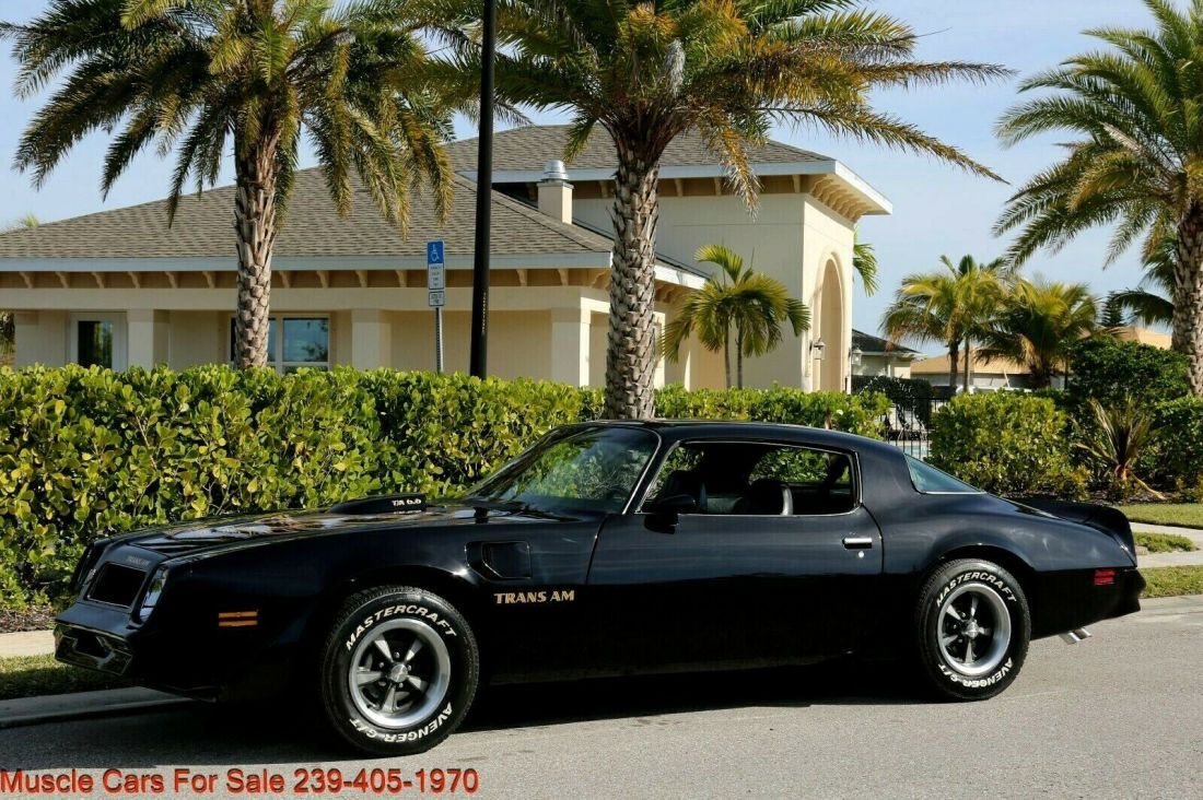 1976 Pontiac Trans Am Trans Am - photo 2