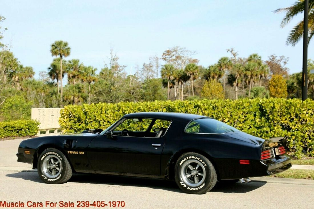 1976 Pontiac Trans Am Trans Am - photo 9