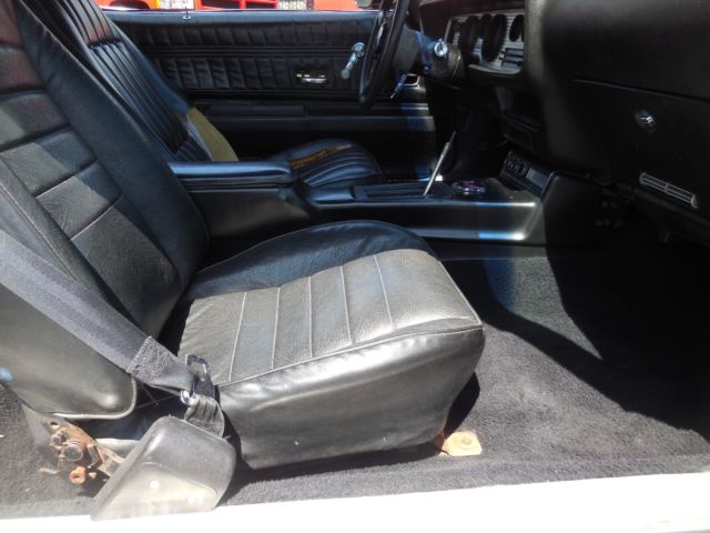 1976 Pontiac Trans Am - photo 11