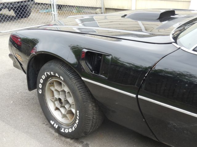 1976 Pontiac Trans Am - photo 4
