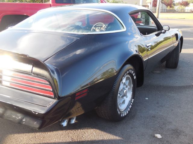 1976 Pontiac Trans Am - photo 8