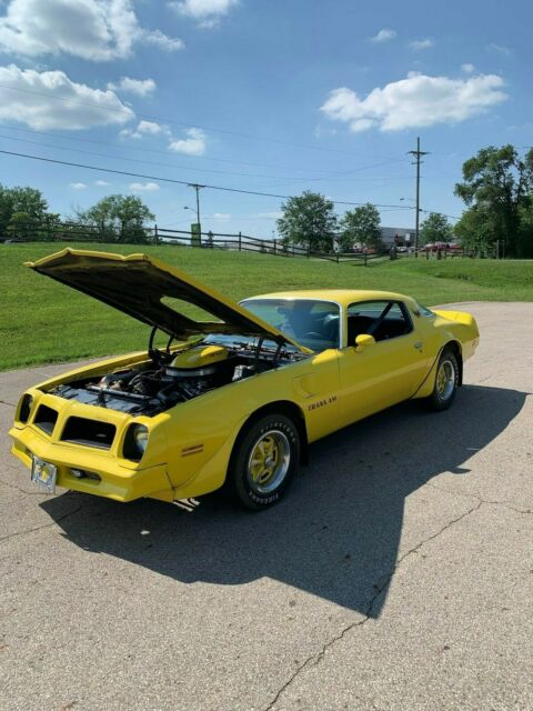 1978 Pontiac Trans Am Firebird