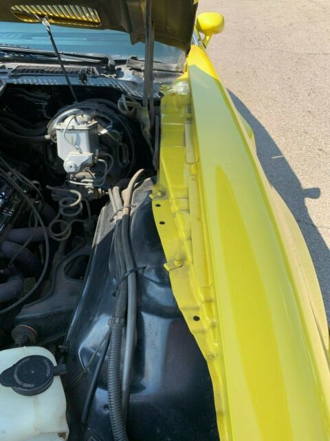 1978 Pontiac Trans Am Firebird - photo 12