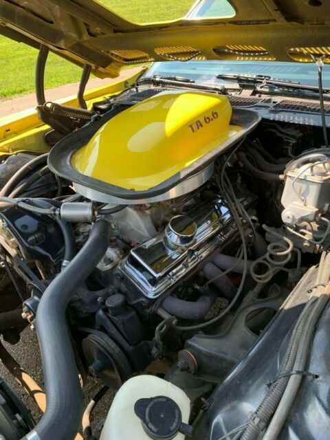 1978 Pontiac Trans Am Firebird - photo 9