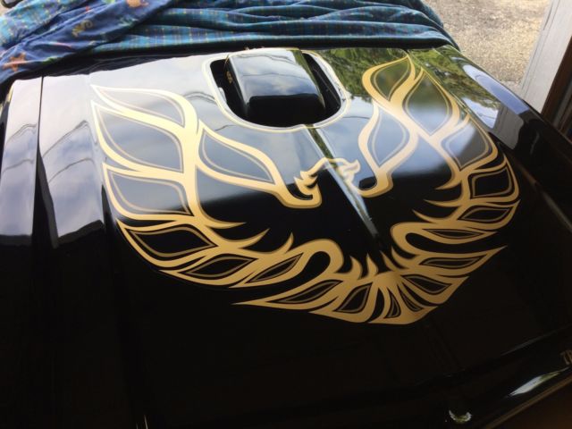 1976 pontiac trans am Factory 4 Speed 1976 Pontiac Trans Am