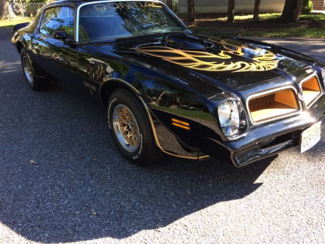 1976 Pontiac Trans Am - photo 10