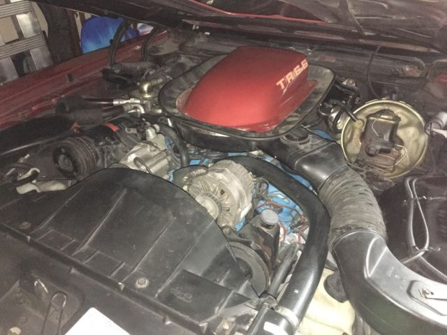 1976 Pontiac Firebird Trans Am - photo 5