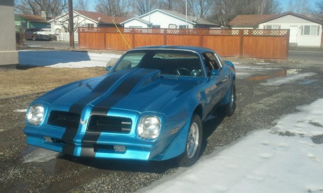 1976 Pontiac Trans Am - photo 2