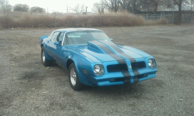 1976 Pontiac Trans Am - photo 3