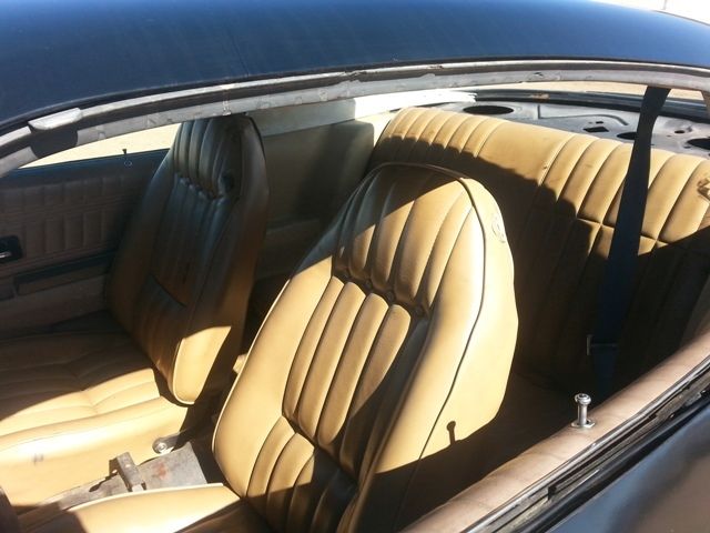 1976 Pontiac Trans Am - photo 7