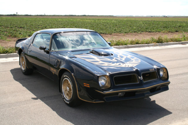 1976 Pontiac Trans Am SE Y82 - photo 2