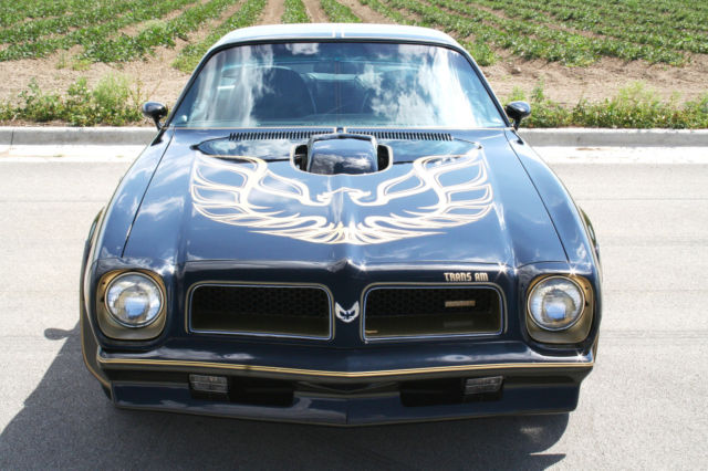 1976 Pontiac Trans Am SE Y82 - photo 5