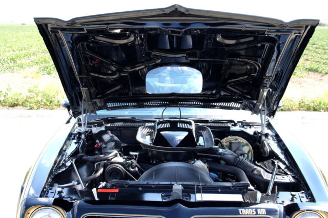 1976 Pontiac Trans Am SE Y82 - photo 8