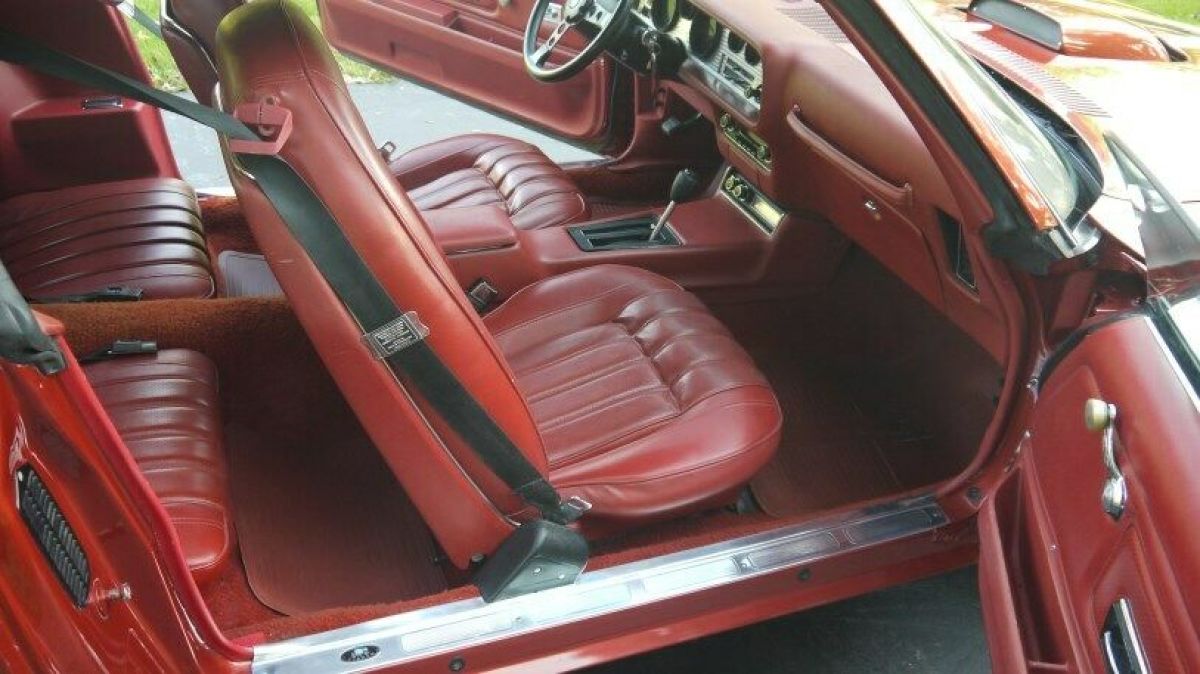 1976 Pontiac Trans Am - photo 11
