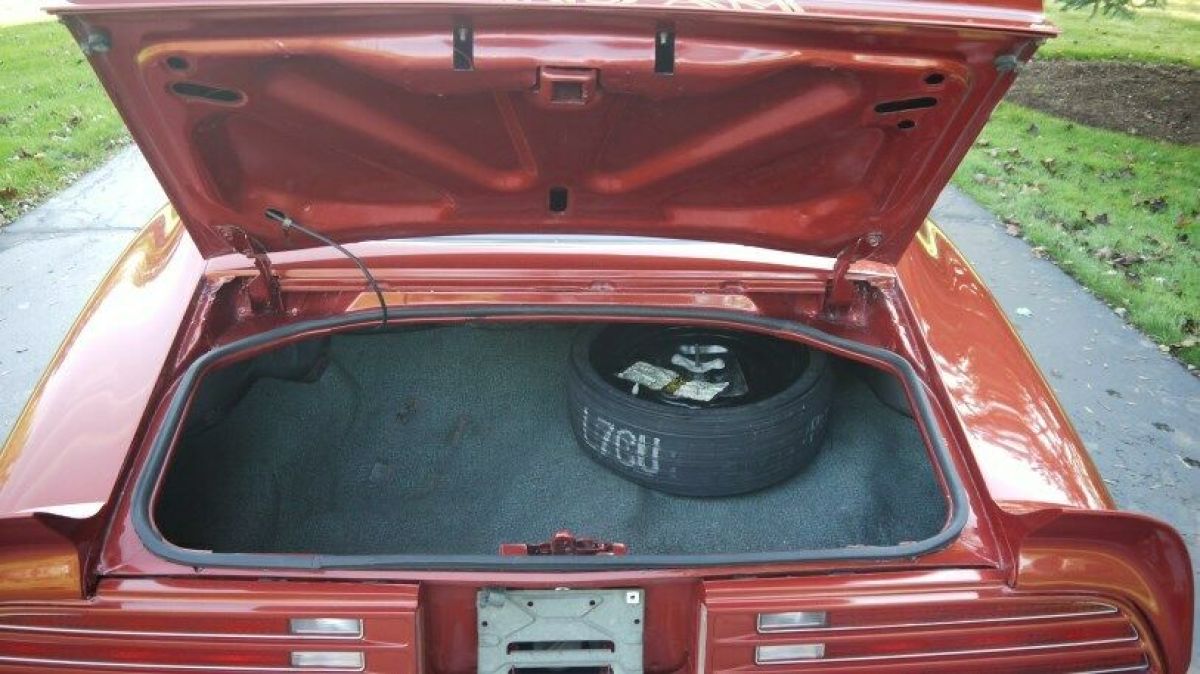 1976 Pontiac Trans Am - photo 12