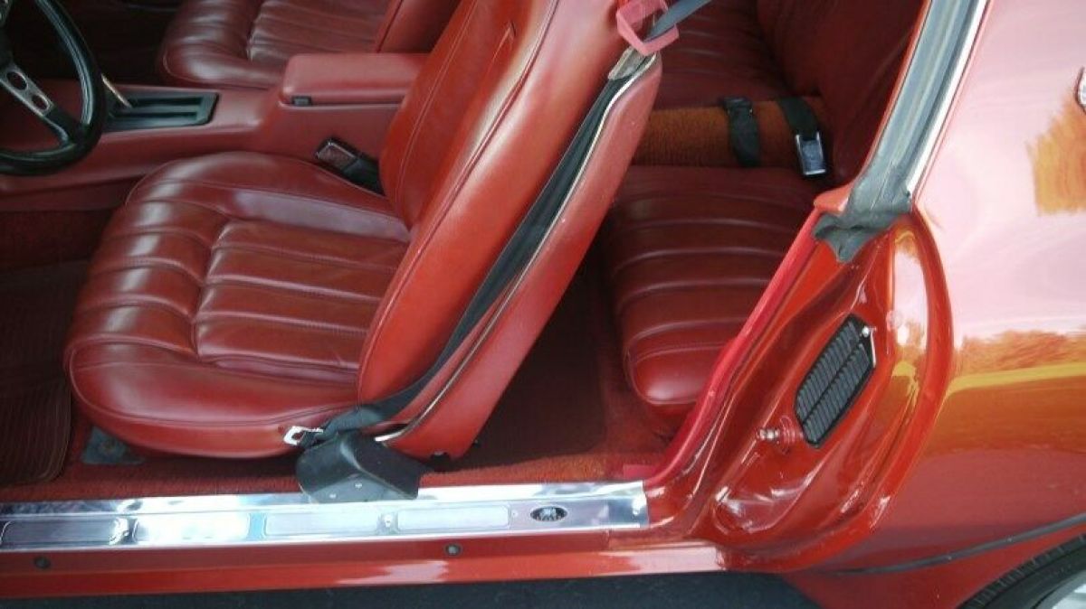 1976 Pontiac Trans Am - photo 9