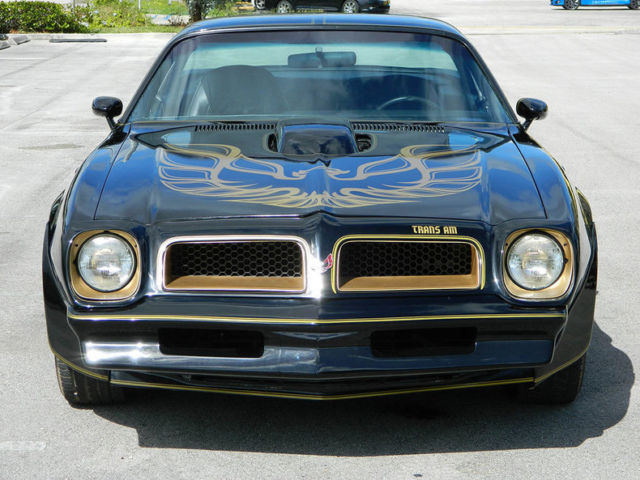 1976 Pontiac TransAm - photo 6
