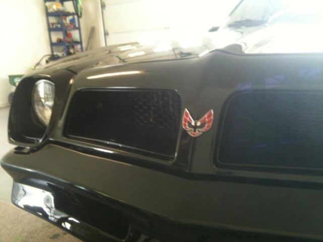 1976 Pontiac Trans Am Factory - photo 10