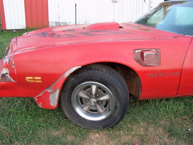 1976 Pontiac Trans Am - photo 5