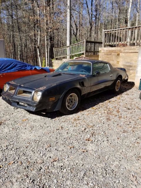 1976 Pontiac Trans Am SE 455 Y82 1 of 319 Super Rare!!!!! 1976 Pontiac Trans Am SE Y82