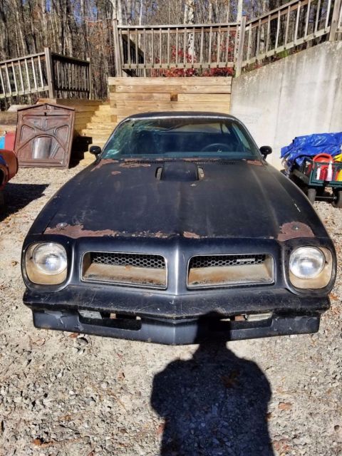 1976 Pontiac Trans Am SE Y82 - photo 2