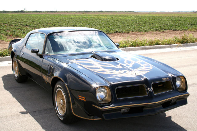 1976 pontiac trans am se 455/4spd/A/C 1of 319 1976 Pontiac Trans Am Y82 SE