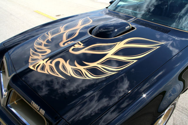 1976 Pontiac Trans Am Y82 SE - photo 11