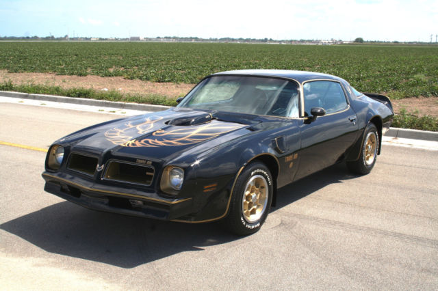 1976 Pontiac Trans Am Y82 SE - photo 4
