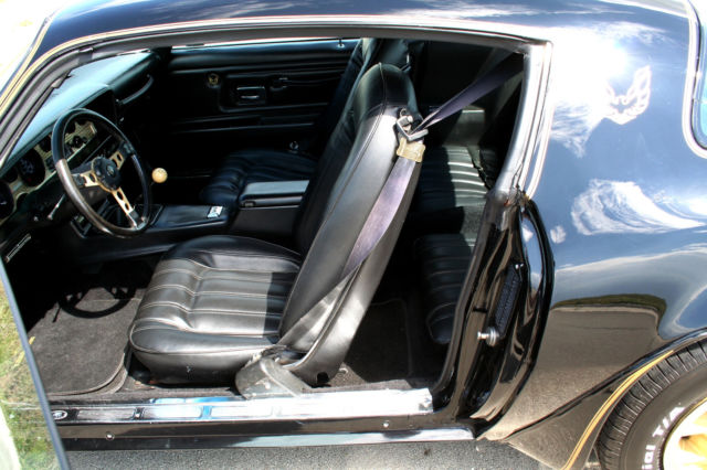 1976 Pontiac Trans Am Y82 SE - photo 7