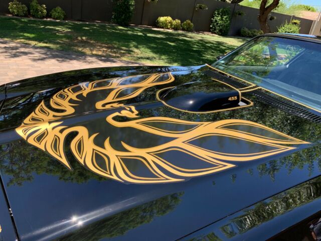 1976 Pontiac Trans Am - photo 11