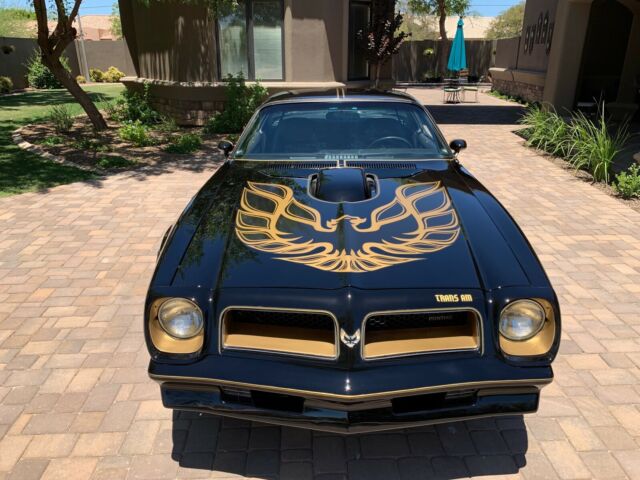 1976 Pontiac Trans Am - photo 3