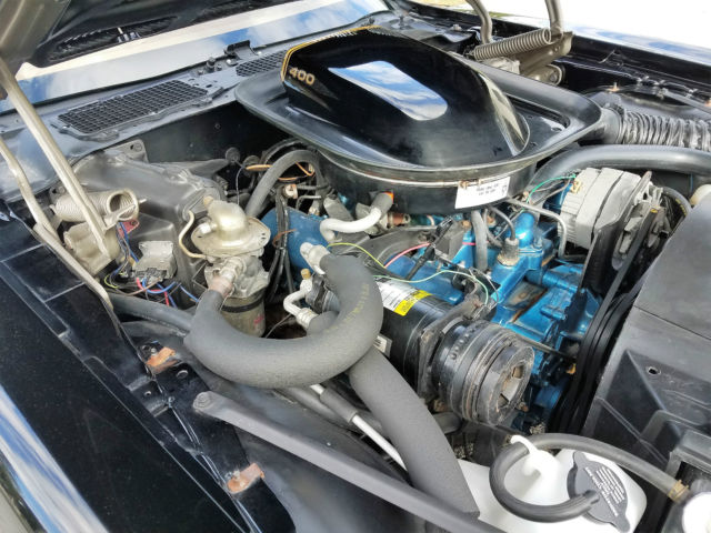 1976 Pontiac Trans Am SE 50th anniversary - photo 13