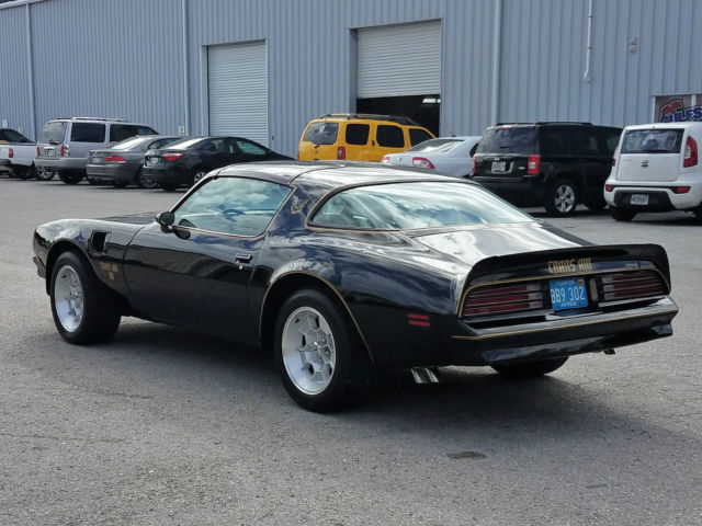 1976 Pontiac Trans Am SE 50th anniversary - photo 3