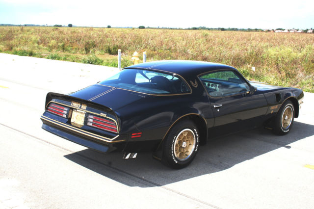 1976 Pontiac Trans Am SE Y82 - photo 7