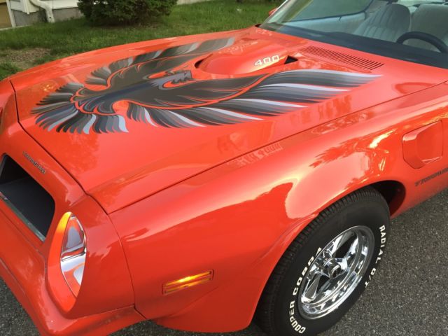 1976 Pontiac Trans Am - photo 11