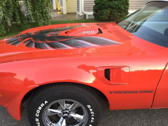 1976 Pontiac Trans Am - photo 12