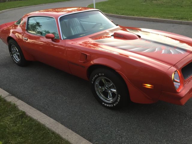 1976 Pontiac Trans Am - photo 6