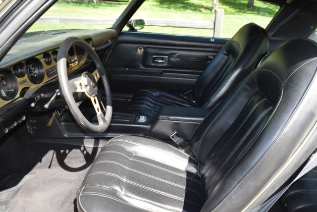 1976 Pontiac Trans Am SPECIAL EDITION Y82 - photo 12