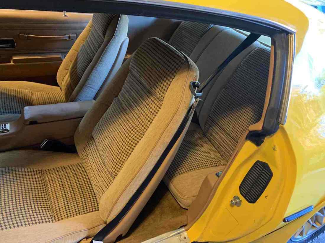 1976 Pontiac Trans Am Trans Am - photo 6