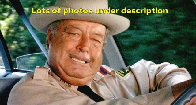 1976 Pontiac Trans Am Bandit - photo 3