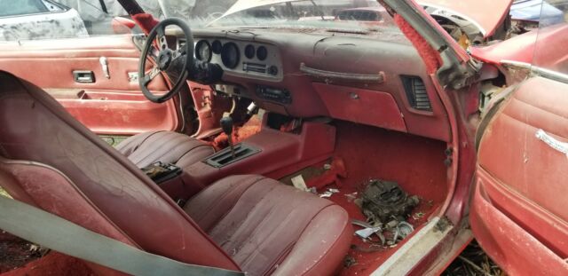 1976 Pontiac Trans Am - photo 10