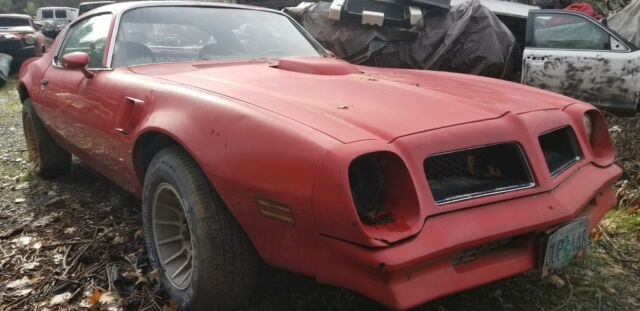 1976 Pontiac Trans Am - photo 3